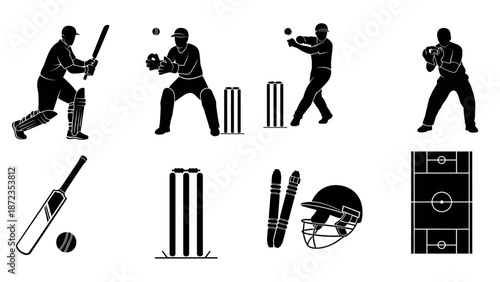 Cricket players in action on the field, illustrating various game elements and equipment.