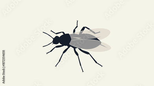 Fly Insect Closeup Detailed Vector Illustration.