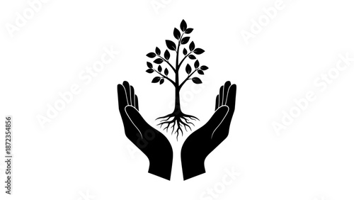 Hands Holding a Small Tree Silhouette.