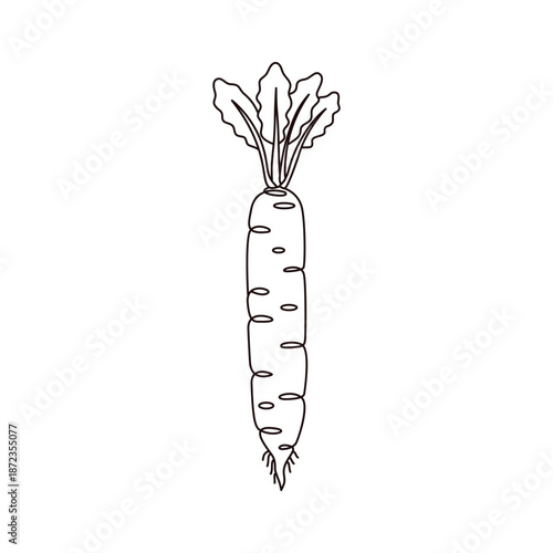 Minimalist Daikon radish line art Illustration