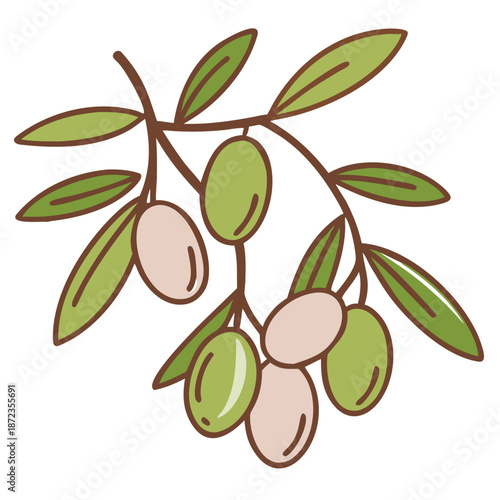 Vector illustration of the olive and olive oil concept.