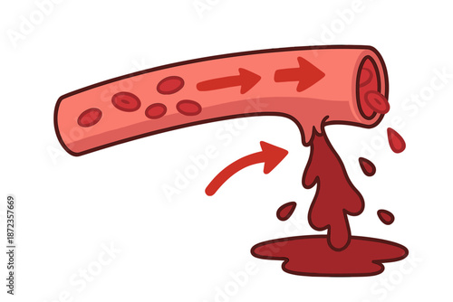 Visualization of blood flow in a blood vessel showing red blood cells and blood leakage from the vessel