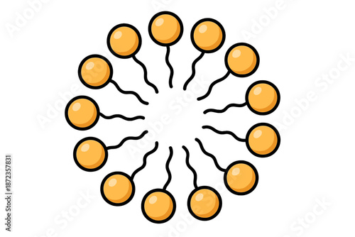 Yellow sperm cells in a circular arrangement around the center
