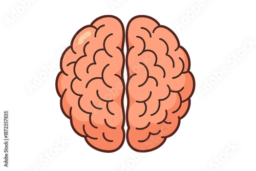 Design of a human brain showing the left and right hemispheres with clear details and lines