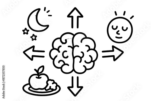 Understanding the role of sleep, food, and mindfulness in brain function for better mental health