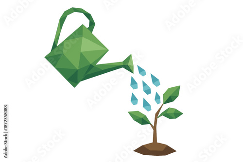 Watering a small green plant with a watering can showing drops of water on a sunny day