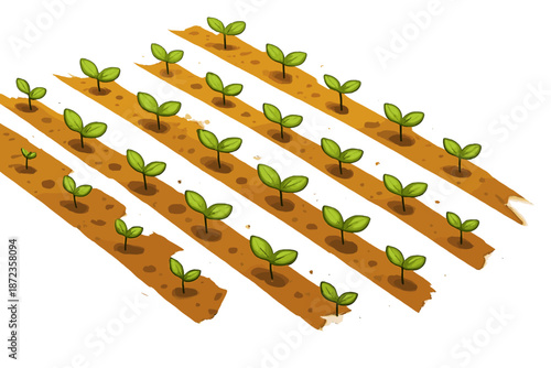 New plants grow in rows on soil in a garden during the day