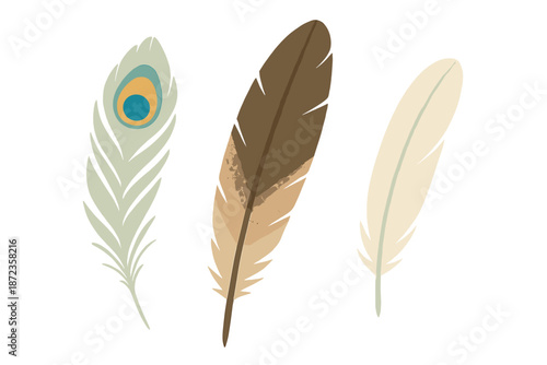 Different types of feathers in various colors and designs placed in a simple arrangement on a white background