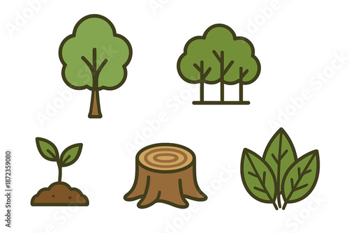 Different elements of trees and plants showing growth stages in nature and their importance in the ecosystem