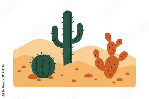 Cacti in a desert landscape with sand and rocks under a clear sky during daytime