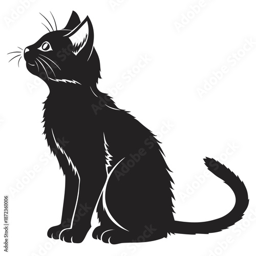 Black cat silhouette