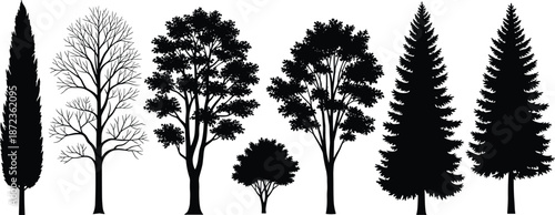Black tree silhouettes collection showing different forest species isolated on white background, nature botanical elements vector illustration set
