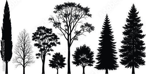 Set of various tree silhouettes including deciduous and conifer forest plants nature landscape black vector illustration isolated