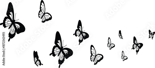 Flying butterfly silhouette set, black flat vector butterflies in different sizes and positions for nature illustration, decoration, tattoo design and graphic projects