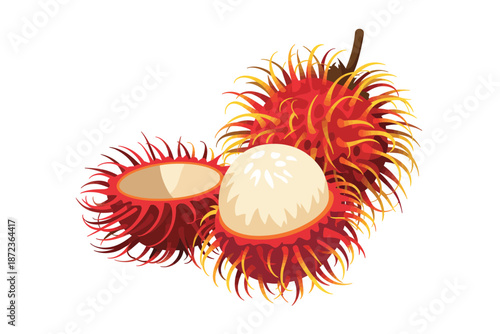 Rambutan fruit with white flesh and hairy red skin