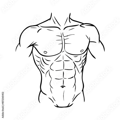 Detailed chest muscles sketch showing male torso, defining abdominal muscles, muscular physique. Anatomical chest muscles sketch illustrates human form for fitness, training.