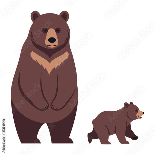 A large brown bear stands next to a small cub on a white background