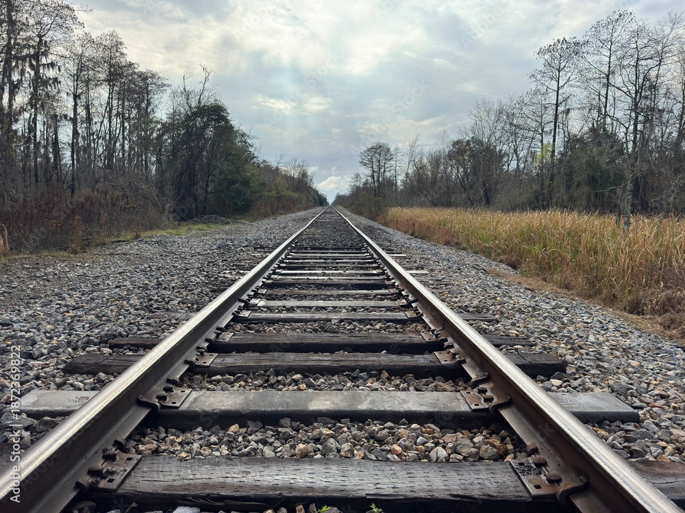 Fototapeta premium railway in the countryside