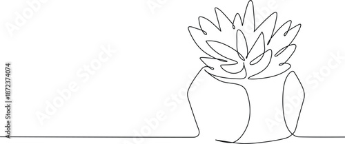 Succulent plant in pot Vector