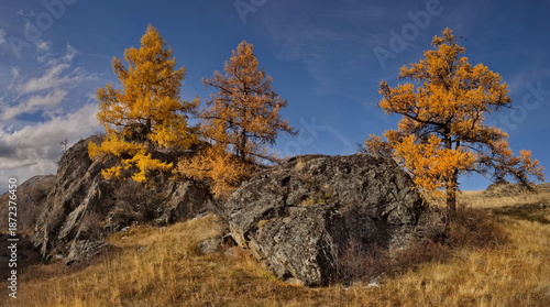 Foto Russia