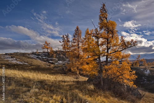 Konstfotografi Russia