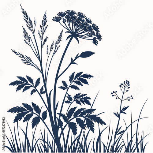 Wildflower in natural habitat