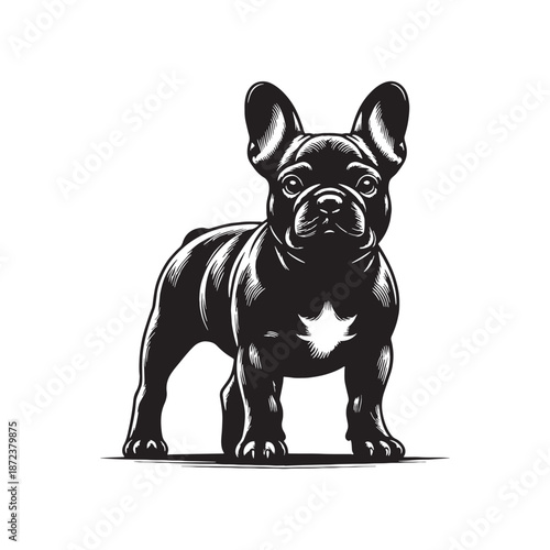 PrintModern French Bulldog vector silhouette design featuring a compact muscular body, iconic bat ears, clean minimal lines, bold shape, perfect for logos, branding, prints, stickers.