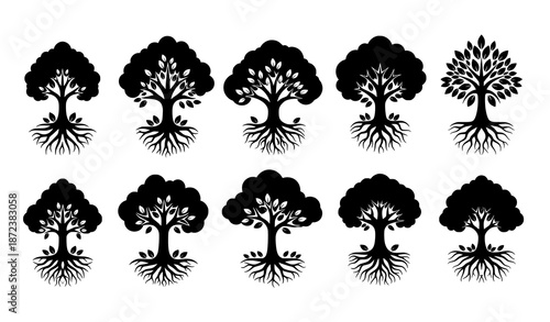 Symbolic tree silhouettes with roots and falling leaves isolated on solid white background vector set
