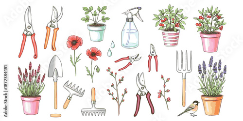 A hand-drawn watercolor illustration of various gardening tools and potted plants