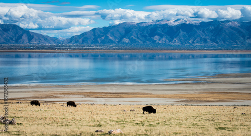 great salt lake city view