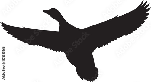 Generated Image January 10, 2026 - 11_16PM.eps