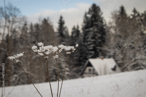 Winter landscape with small house