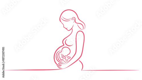 Stylized line of a pregnant woman cradling her belly with a baby silhouette inside pregnancy