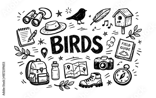 Doodle illustration of bird watching equipment and the word BIRDS