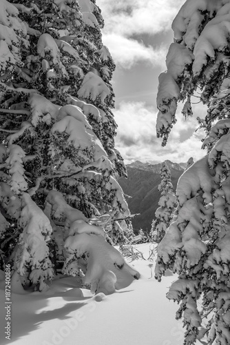 winter in the mountains