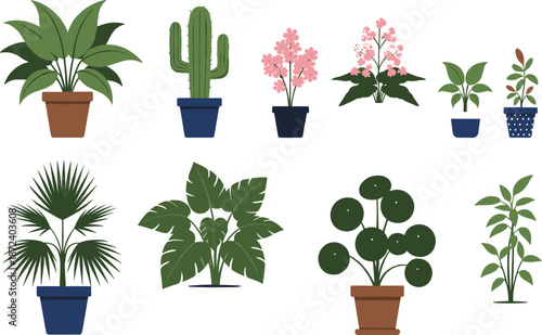 Indoor Potted Plant Vector Set with Tropical Houseplants, Cactus, Decorative Foliage, Botanical Greenery, and Home Garden Decoration Illustrations