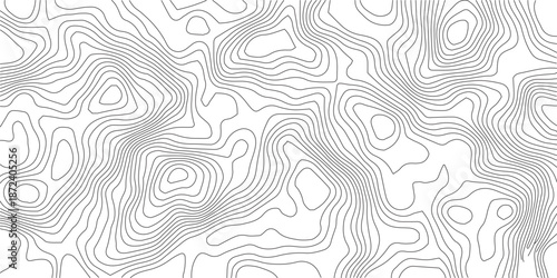 Topographic Background. Abstract wavy and curved lines background. Abstract pattern with Lines. Background of the Topographic Map. Abstract geometric topographic contour map background Free Vector	