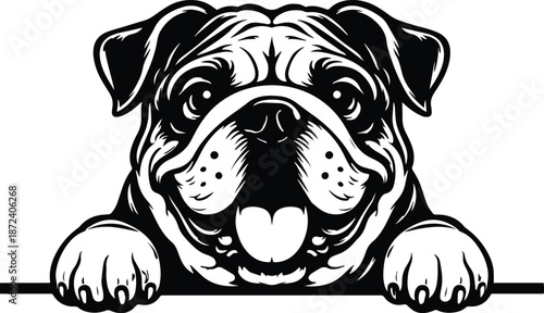Peeking English Bulldog - Bulldog Face Peeking Design - Cute Bulldog Clipart