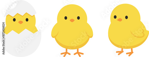 Three yellow chicks hatching stages, egg to standing, cute cartoon poultry growth concept, springtime theme, flat vector illustration