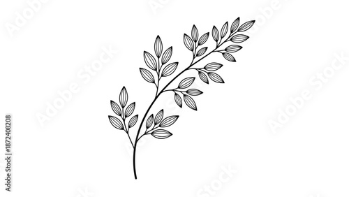 Simple black and white illustration of a leafy branch.
