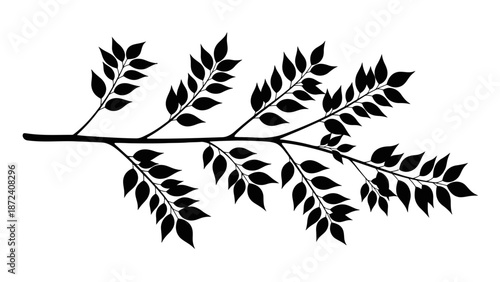 Black silhouette of a leafy branch on white background.