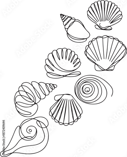 Continuous Line Art Illustration of Variety of Seashells Arranged Decoratively