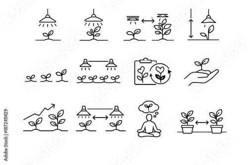 Icon spacing plant cue growth difference care comparison mindful mature stages vector