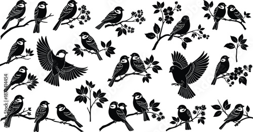 Bird silhouettes on branches, floral elements, flying and perched poses, nature vector, editable design, isolated, decorative wildlife artwork