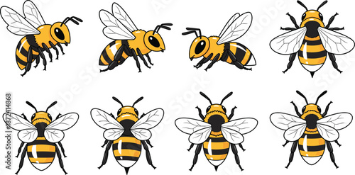 Cartoon bee illustration set with side and top views, yellow and black stripes, wing positions, insect anatomy graphics