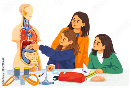 Curious and intelligent students examining human anatomy in the school laboratory.