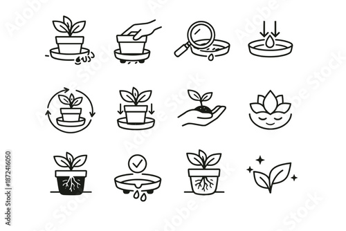 Check plant vector cue inspection routine care arrows periodic upkeep roots icon