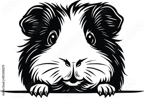 Peeking Guinea Pig - Cavy Head Peeking Design - Cute Pet Rodent Clipart - Guinea Pig Peeking Over - Adorable Pet design