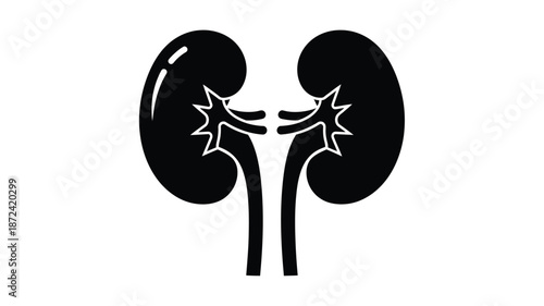 A simple black and white illustration depicting a pair of human kidneys and their ureters