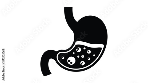 Anatomical illustration of a human stomach showing internal structure and contents in black and white